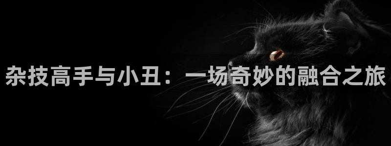 秋霞电影影音：杂技高手与小丑：一场奇妙的融合之旅