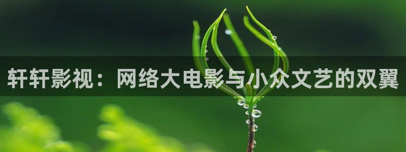 秋霞免费观看电影网站：轩轩影视：网络大电影与小众文艺的双翼