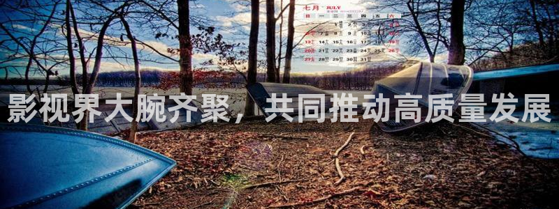 秋霞精品电影：影视界大腕齐聚，共同推动高质量发展